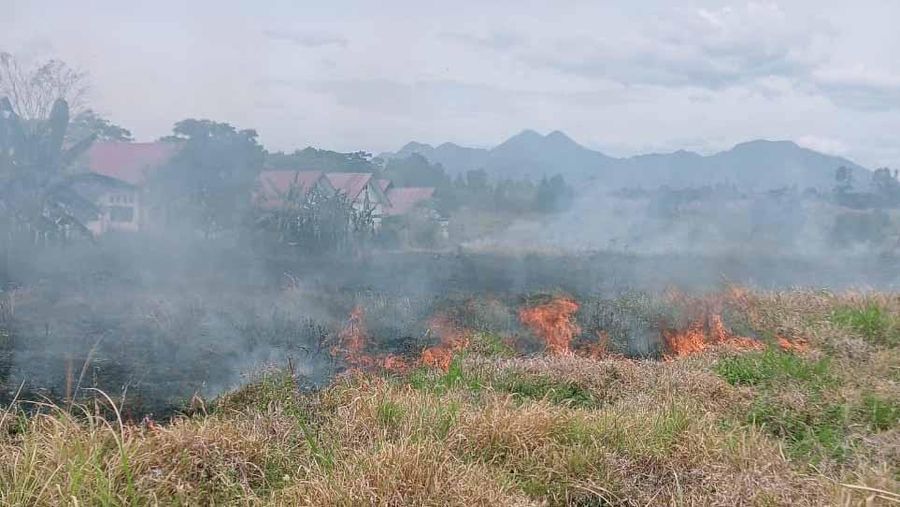 Tim gabungan melakukan pemadaman karhutla yang terjadi di Desa Turpuk Limbong, Kecamatan Harian, Kabupaten Samosir, Sumatera Utara, pada Selasa (1/7/2025). (Dok. BPBD Kabupaten Samosir)