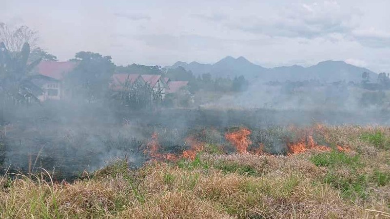 Tim gabungan melakukan pemadaman karhutla yang terjadi di Desa Turpuk Limbong, Kecamatan Harian, Kabupaten Samosir, Sumatera Utara, pada Selasa (1/7/2025). (Dok. BPBD Kabupaten Samosir)