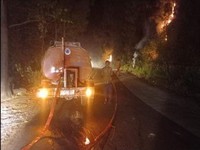 Potret Api Mengamuk di Pulau Sumatera! Lahan dan Hutan Ludes Terbakar