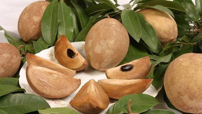 5 Negara Penghasil Buah Sawo Terbesar di Dunia, Ada RI?