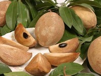 5 Negara Penghasil Buah Sawo Terbesar di Dunia, Ada RI?