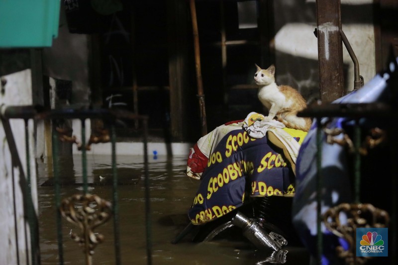 Sejumlah warga melintas di tengah banjir di RW 06 Jatipadang, Jakarta Selatan, (6/7/2025). Sejumlah warga melintas di tengah banjir di RW 06 Jatipadang, Jakarta Selatan, (6/7/2025). (CNBC Indonesia/Muhammad Sabki)