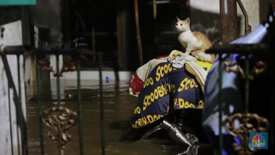 Sejumlah warga melintas di tengah banjir di RW 06 Jatipadang, Jakarta Selatan, (6/7/2025). (CNBC Indonesia/Muhammad Sabki)
