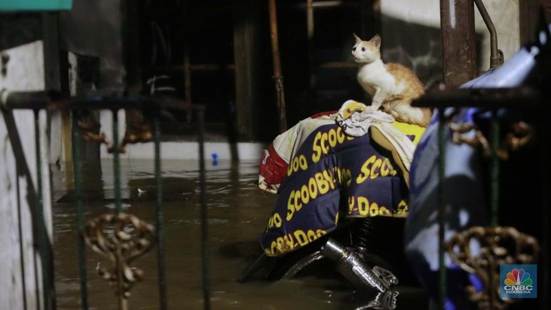 Sejumlah warga melintas di tengah banjir di RW 06 Jatipadang, Jakarta Selatan, (6/7/2025). (CNBC Indonesia/Muhammad Sabki)