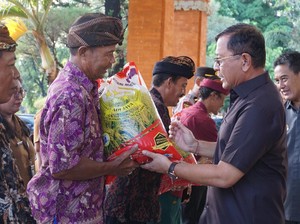Subak dan Kelompok Tani di Buleleng Dapat Bantuan 47 Ton Benih Padi-Jagung