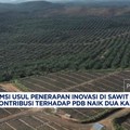 Video: Bikin Sumbangan Sawit ke PDB Naik 2x Lipat, DMSI Usul Hal Ini