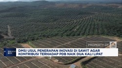 Video: Bikin Sumbangan Sawit ke PDB Naik 2x Lipat, DMSI Usul Hal Ini