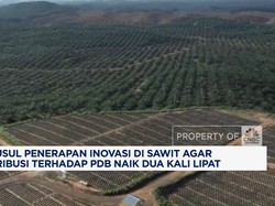 Video: Bikin Sumbangan Sawit ke PDB Naik 2x Lipat, DMSI Usul Hal Ini