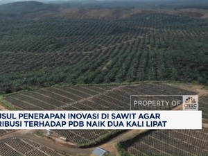 Video: Bikin Sumbangan Sawit ke PDB Naik 2x Lipat, DMSI Usul Hal Ini