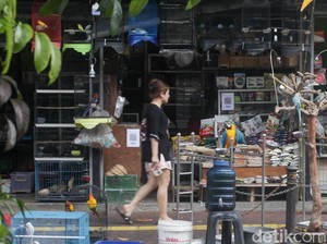 Video: Respons Pedagang Pasar Barito soal Rencana Direlokasi