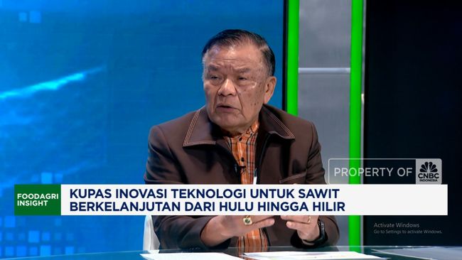 Video: DMSI Yakin Sawit Kembali Berjaya dengan Hadirnya Agrinas Palma