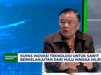 Video: DMSI Yakin Sawit Kembali Berjaya dengan Hadirnya Agrinas Palma