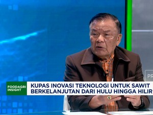 Video: DMSI Yakin Sawit Kembali Berjaya dengan Hadirnya Agrinas Palma