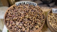 Kopi Termahal di Dunia Ternyata Bisa Diseduh di Rumah, Ini Faktanya Soal Kopi Luwak