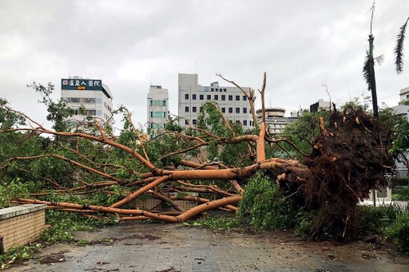 TAIWAN-WEATHER-TYPHOON This picture shows the collapsed archway of Nankunshen Daitian temple and the flooded courtyard in the aftermath of Typhoon Danas in Tainan on July 7, 2025. Typhoon Danas made landfall on the west coast of Taiwan late on July 6, the Central Weather Administration said, dumping torrential rain on the island that triggered flooding and landslides. (Photo by Johnson LIU / AFP)