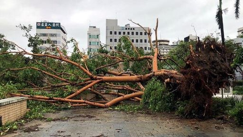 This picture shows the collapsed archway of Nankunshen Daitian temple and the flooded courtyard in the aftermath of Typhoon Danas in Tainan on July 7, 2025. Typhoon Danas made landfall on the west coast of Taiwan late on July 6, the Central Weather Administration said, dumping torrential rain on the island that triggered flooding and landslides. (Photo by Johnson LIU / AFP)