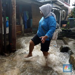 Musim Hujan Waspada Kencing Tikus! Bisa Sebabkan Kematian