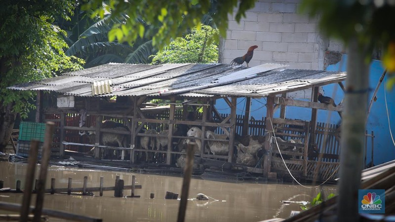 Banjir yang melanda kawasan Kampung Lebak di Kelurahan Teluk Pucung, Bekasi Utara, Selasa (8/7/2025). (CNBC Indonesia/Tias Budiarto)