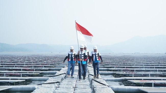 Dukung Pembangunan Berkelanjutan, Green Financing BRI Capai Rp 89,9 T