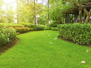 Sejoli Diduga Mesum di Taman Ciracas, Satpol PP Imbau Warga Jaga Ruang Publik