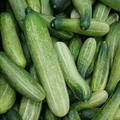 3 Jenis Makanan yang Dapat Meningkatkan Fungsi Ginjal