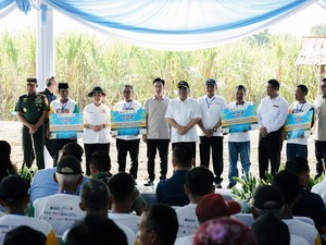 Dukung Swasembada Gula, Pupuk Indonesia Panen Tebu Bareng Wapres Gibran