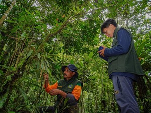Hari Konservasi Alam Sedunia 28 Juli: Tujuan dan Cara Merayakan
