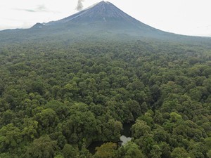 Video Evakuasi 24 Mahasiswa KKN Unand-Perangkat Desa yang Tersesat di Hutan