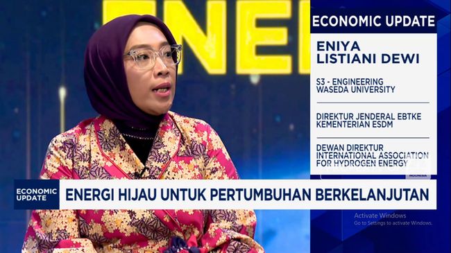 Gas untuk Listrik Dikurangi Tapi EBT Ditambah, Ini Alasannya