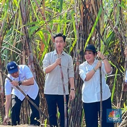 Wapres Beberkan Strategi RI Capai Target Swasembada Gula 2026