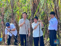 Targetkan Swasembada Gula 2026, Gibran Ajak Anak Muda Ikut Terlibat