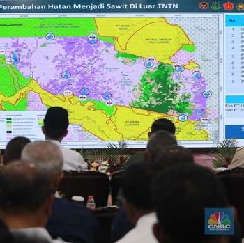 Sah! Satgas PKH Kuasai Lagi 81 Ribu Ha Lahan Taman Nasional Tesso Nilo