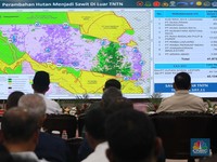Sah! Satgas PKH Kuasai Lagi 81 Ribu Ha Lahan Taman Nasional Tesso Nilo