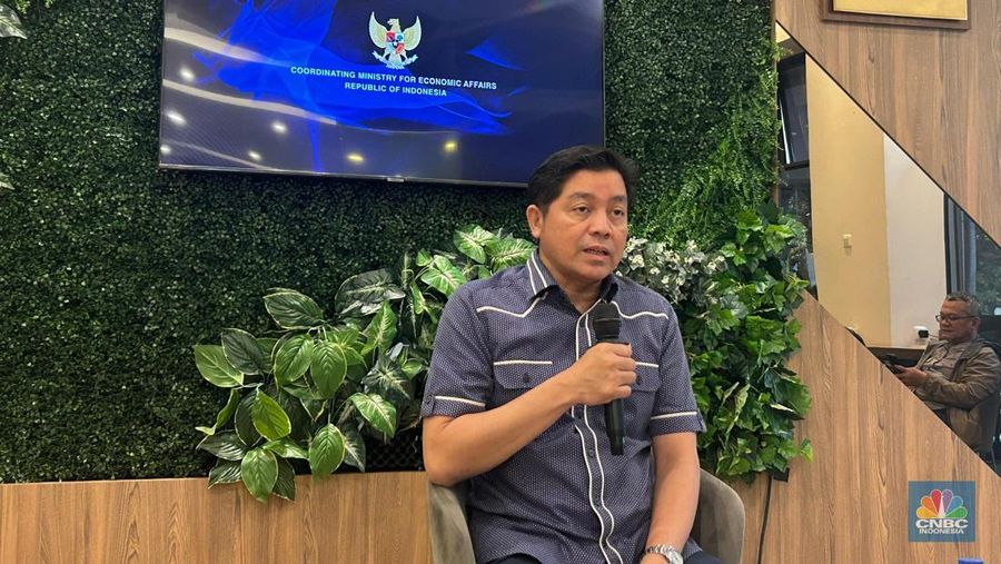 Juru Bicara Kementerian Koordinator Bidang Perekonomian, Haryo Limanseto. (CNBC Indonesia/Zefanya Aprilia)