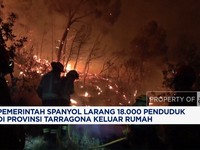 Video: Kebakaran Besar Spanyol, 18 Ribu Penduduk Dilarang Keluar Rumah