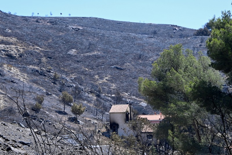 Pemandangan rumah yang terbakar akibat kebakaran hutan di distrik L'Estaque, Marseille, Prancis selatan, 9 Juli 2025. Pemandangan rumah yang terbakar akibat kebakaran hutan di distrik L'Estaque, Marseille, Prancis selatan, 9 Juli 2025. (REUTERS/Alexandre Dimou)