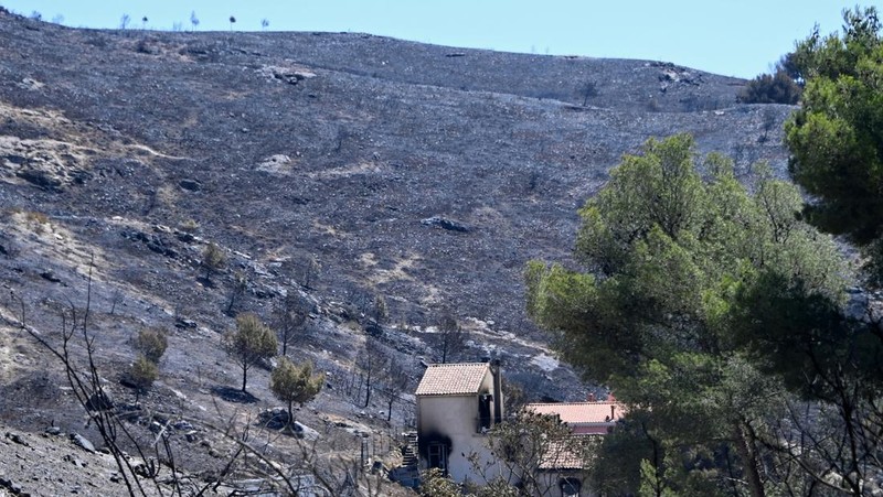 Pemandangan rumah yang terbakar akibat kebakaran hutan di distrik L'Estaque, Marseille, Prancis selatan, 9 Juli 2025. (REUTERS/Alexandre Dimou)