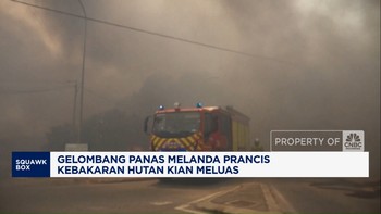 Video: Kebakaran Hutan Hantam Prancis, 700 Hektar Lahan Hangus