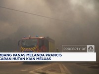 Video: Kebakaran Hutan Hantam Prancis, 700 Hektar Lahan Hangus