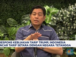 Video:Respons Tarif Trump,RI Incar Tarif Setara dengan Negara Tetangga