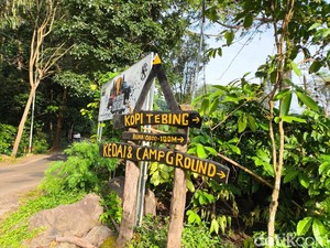 Bawa Rp 50 Ribu Dapat Apa Saja di Kopi Tebing Kuningan?