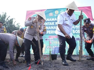 Dukung Swasembada Pangan, Polda Riau Tanam Jagung Hibrida di Siak