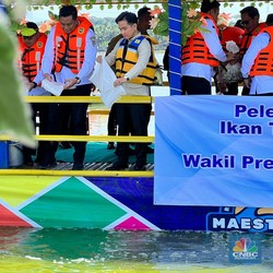 Soal Berkantor di Papua, Wapres Gibran: Siap Ditempatkan di Mana Pun