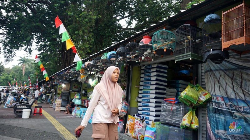 Calon pembeli melihat burung yang dijual di Pasar Hewan Barito, Jakarta, Kamis (10/7/2025). (CNBC Indonesia/Muhammad Sabki)