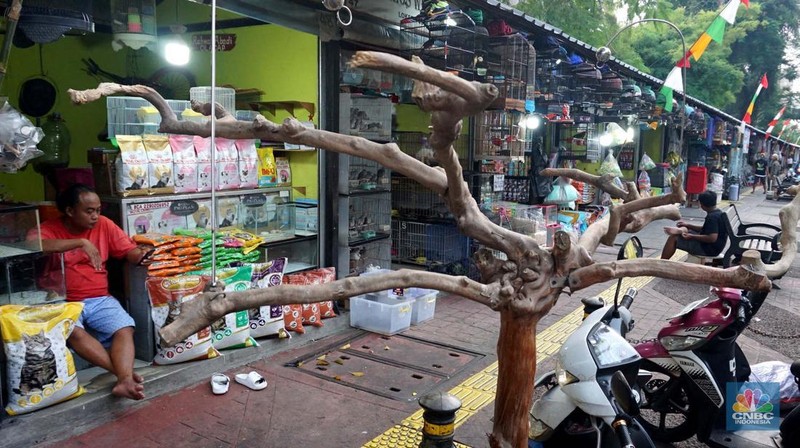 Calon pembeli melihat burung yang dijual di Pasar Hewan Barito, Jakarta, Kamis (10/7/2025). (CNBC Indonesia/Muhammad Sabki)