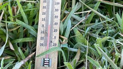 7 Fakta Dieng Capai Suhu Minus 0,7 Derajat Celsius