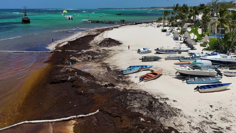 Kondisi pantai yang dipenuhi rumput laut sargassum, sejenis alga di Punta Cana, Republik Dominika, Rabu (9/7/2025). (REUTERS/Erika Santelices)
