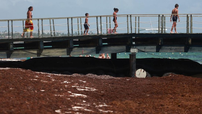 Kondisi pantai yang dipenuhi rumput laut sargassum, sejenis alga di Punta Cana, Republik Dominika, Rabu (9/7/2025). (REUTERS/Erika Santelices)