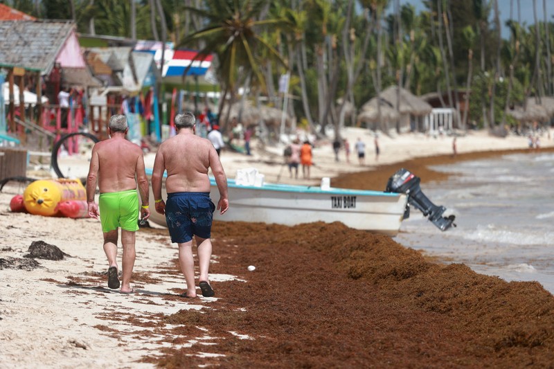 Kondisi pantai yang dipenuhi rumput laut sargassum, sejenis alga di Punta Cana, Republik Dominika, Rabu (9/7/2025). (REUTERS/Erika Santelices) Kondisi pantai yang dipenuhi rumput laut sargassum, sejenis alga di Punta Cana, Republik Dominika, Rabu (9/7/2025). (REUTERS/Erika Santelices)