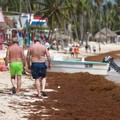 Penampakan Pantai Terkepung Alga Rumput Laut, Pendapatan Warga Ambruk